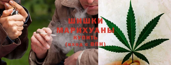 бутират Дмитриев