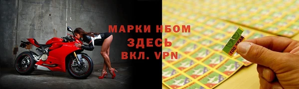 мдпв Елабуга