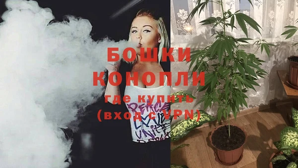 бутират Дмитриев