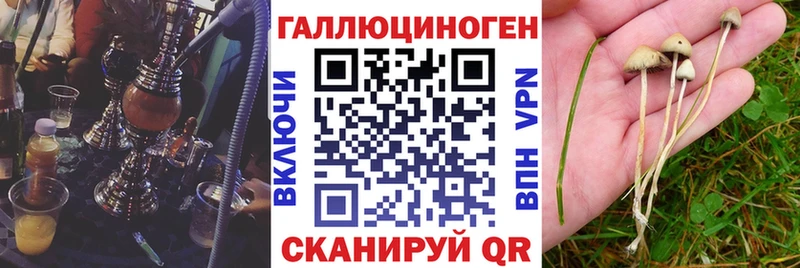 Купить закладки  Чаплыгин  Псилоцибиновые грибы MAGIC MUSHROOMS 