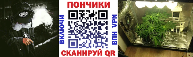 Купить где  Чаплыгин  Бошки Шишки MAZAR 